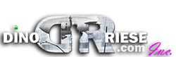 DinoRiese.com Inc. | Website Design, Hosting, Search Engine Optimization (SEO) Professional Services - Logo image